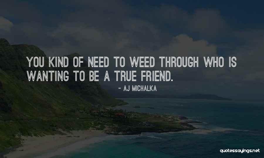 Michalka Aj Quotes By AJ Michalka Michalka Aj Quotes By AJ Michalka