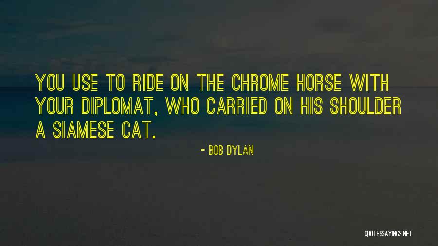 Michalowski Insurance Quotes By Bob Dylan Michalowski Insurance Quotes By Bob Dylan