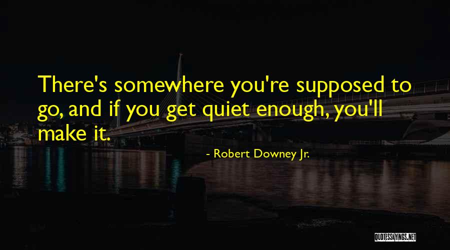 Michalski Stanley Quotes By Robert Downey Jr. Michalski Stanley Quotes By Robert Downey Jr.