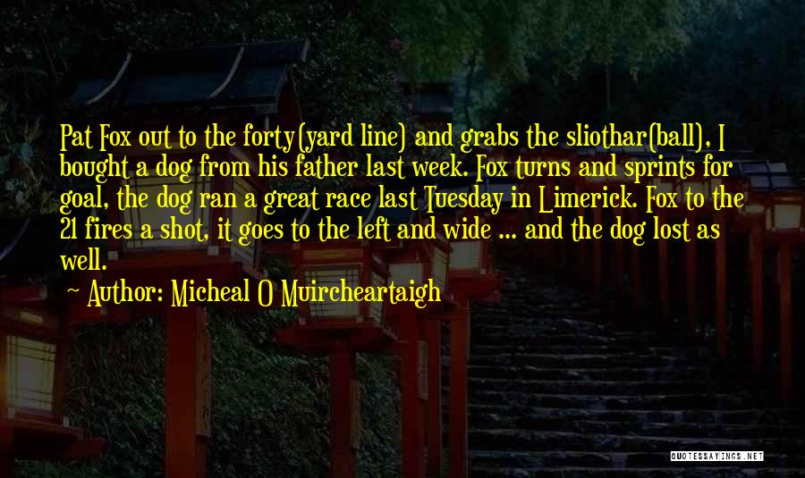 Micheal O Muircheartaigh Quotes 645558