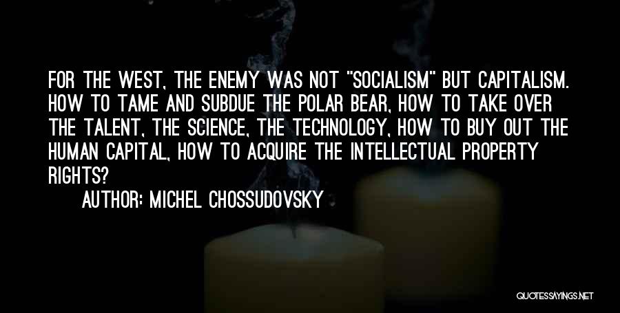 Michel Chossudovsky Quotes 1294497