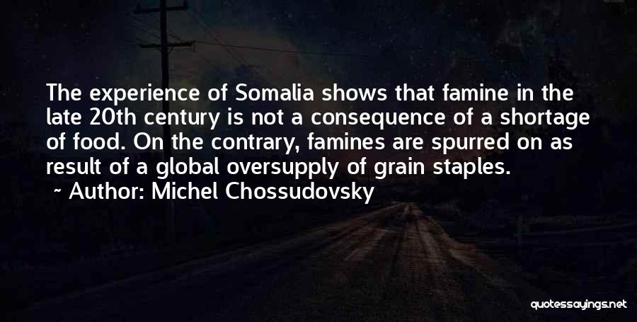 Michel Chossudovsky Quotes 1980011