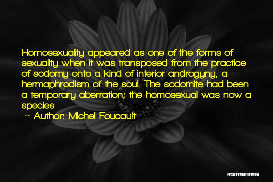 Michel Foucault Quotes 2125614