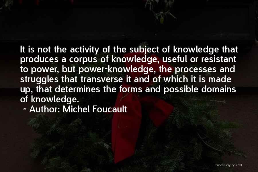 Michel Foucault Quotes 244809