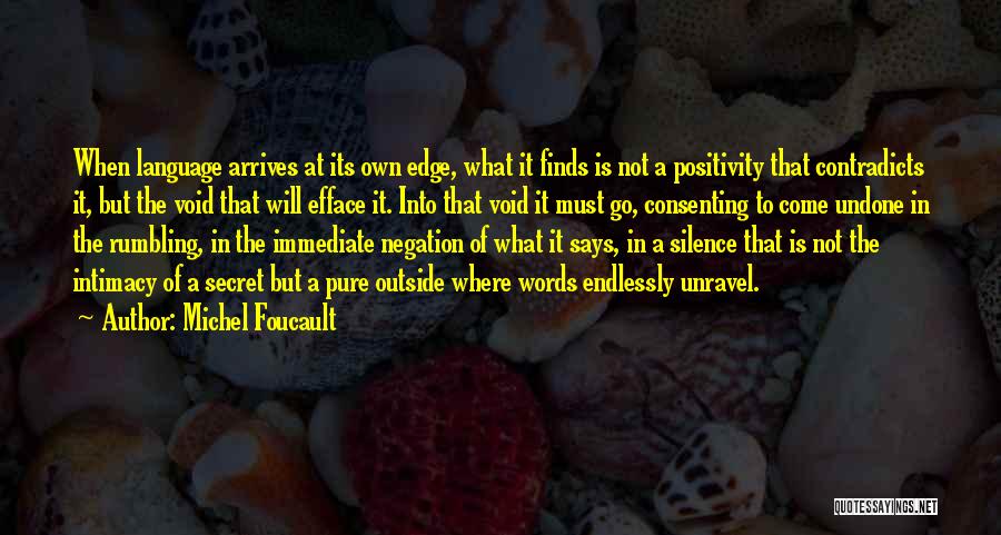 Michel Foucault Quotes 430246