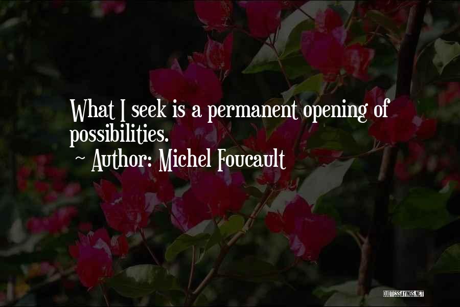Michel Foucault Quotes 735581