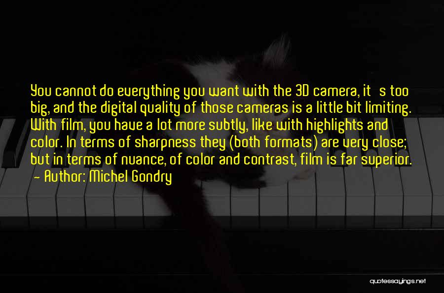 Michel Gondry Quotes 1176387