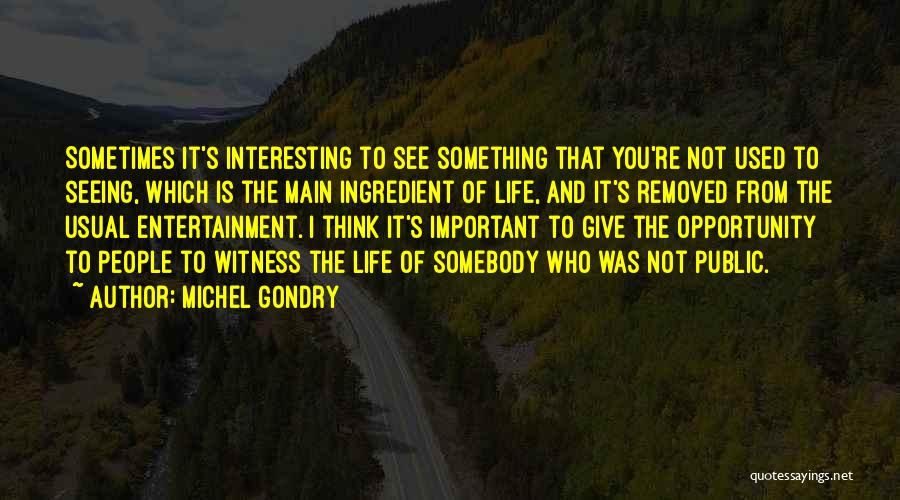 Michel Gondry Quotes 1260143