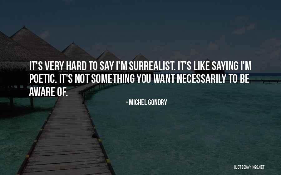 Michel Gondry Quotes 277200 Michel Gondry Quotes 277200