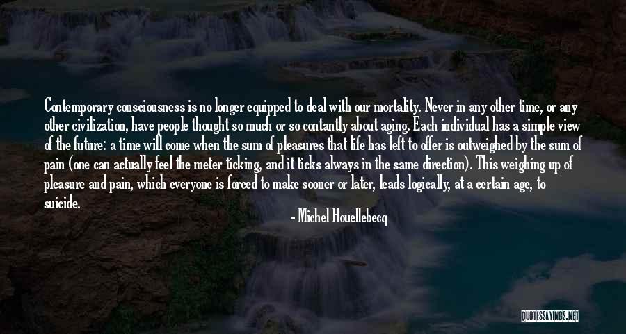 Michel Houellebecq Quotes 1144475