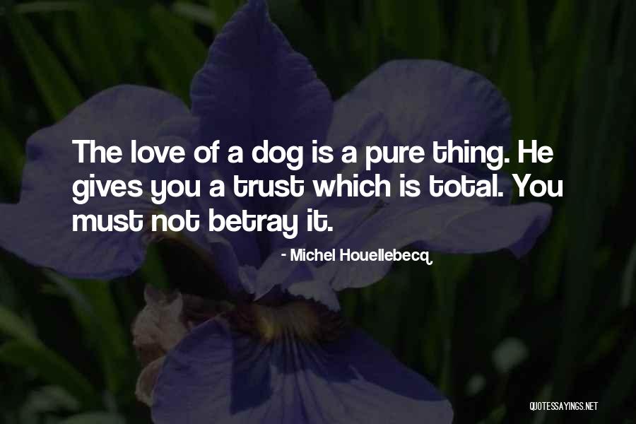 Michel Houellebecq Quotes 116805