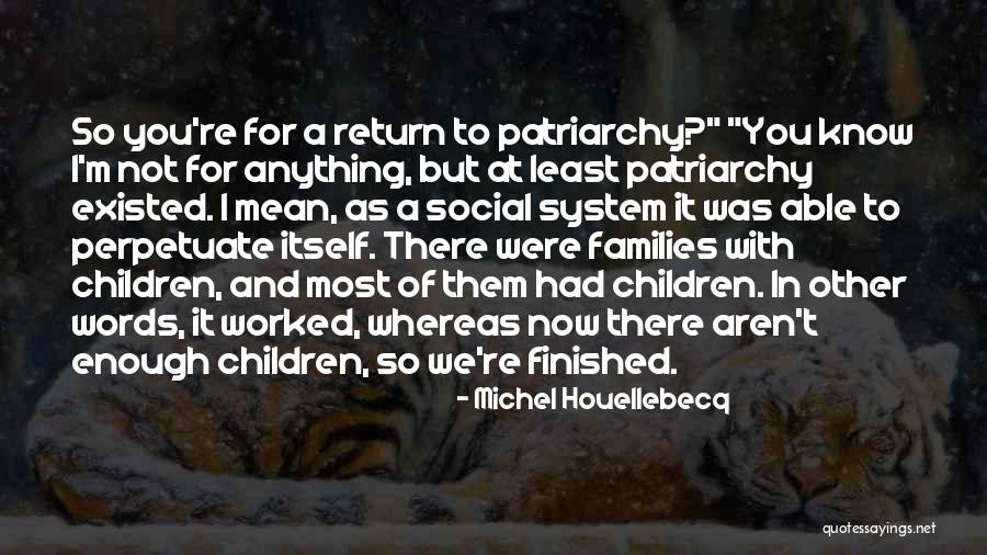 Michel Houellebecq Quotes 1176055