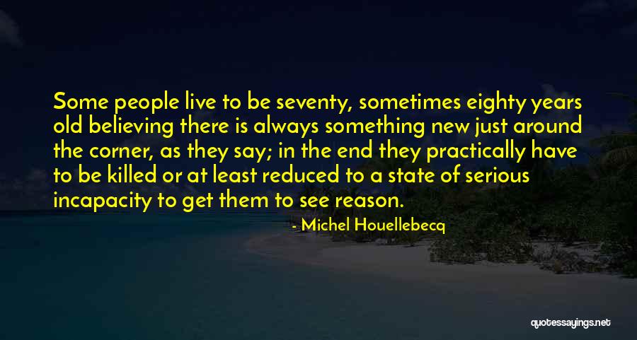 Michel Houellebecq Quotes 1377856