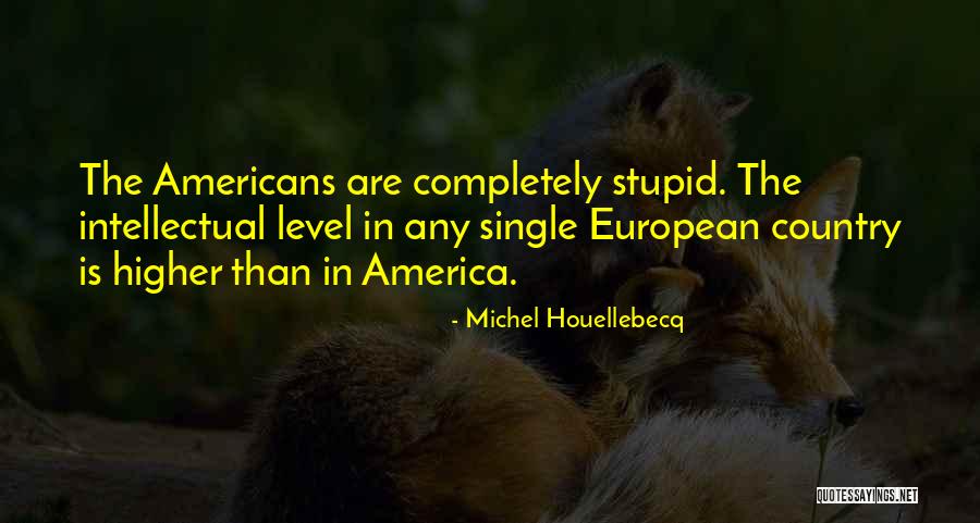 Michel Houellebecq Quotes 162200