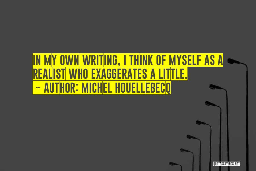 Michel Houellebecq Quotes 1893814