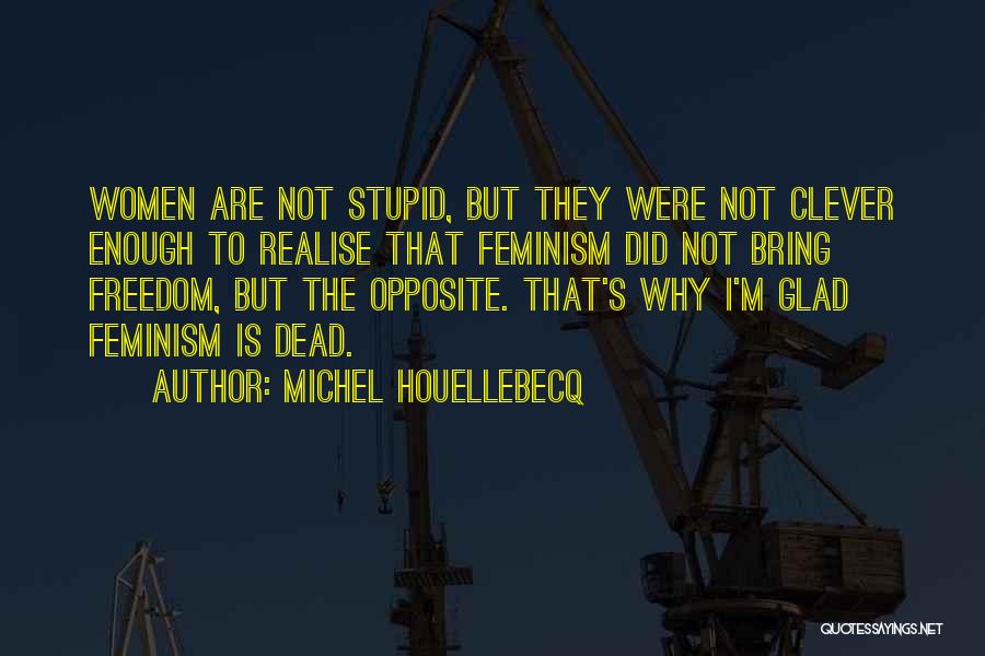 Michel Houellebecq Quotes 2119684