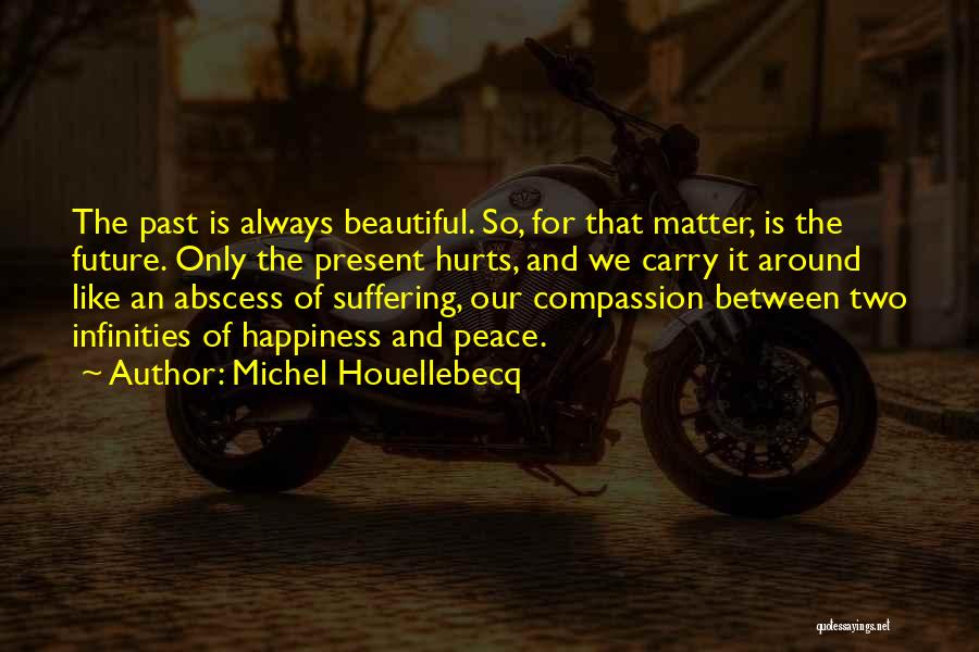 Michel Houellebecq Quotes 2270134