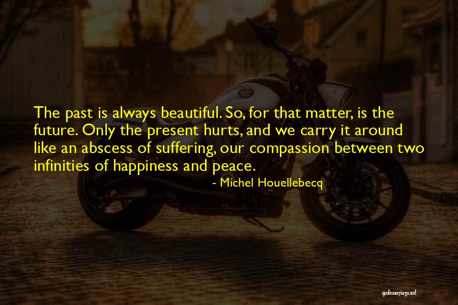 Michel Houellebecq Quotes 2270134