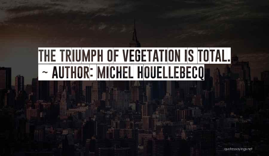 Michel Houellebecq Quotes 432021