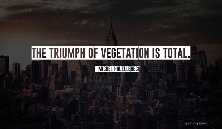 Michel Houellebecq Quotes 432021