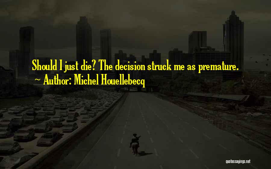 Michel Houellebecq Quotes 670932