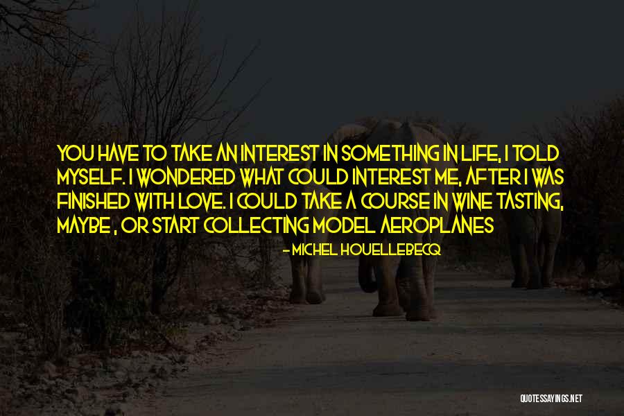 Michel Houellebecq Quotes 687194