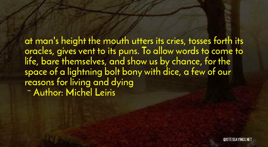 Michel Leiris Quotes 1710869