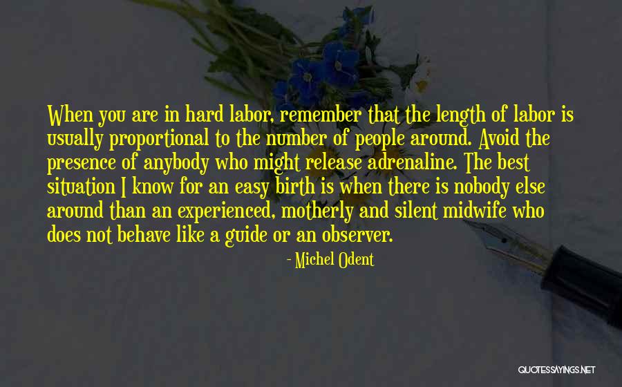 Michel Odent Birth Quotes By Michel Odent