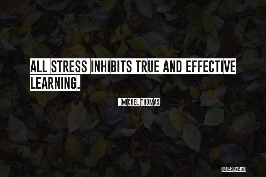 Michel Thomas Quotes 713477 Michel Thomas Quotes 713477