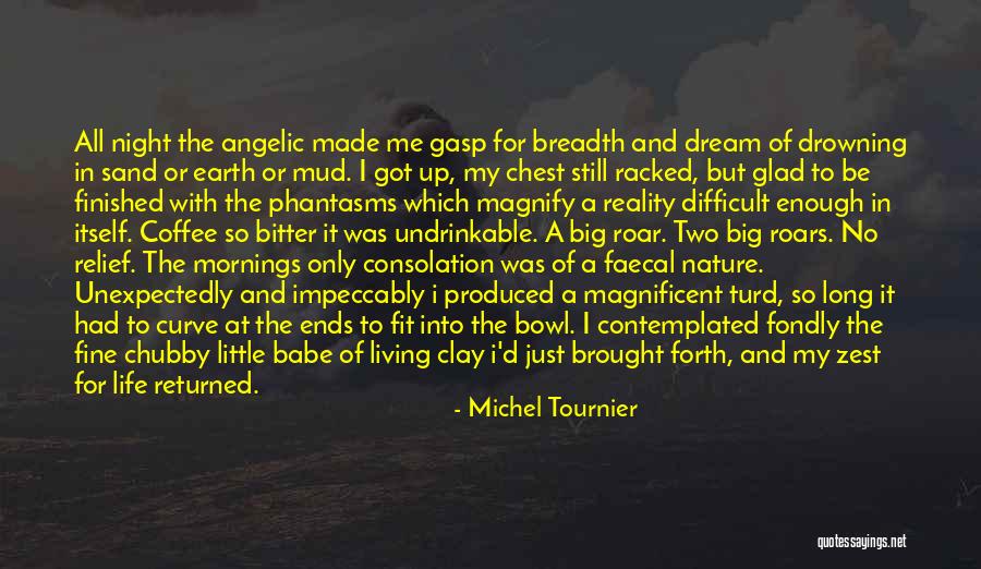 Michel Tournier Quotes 1362785