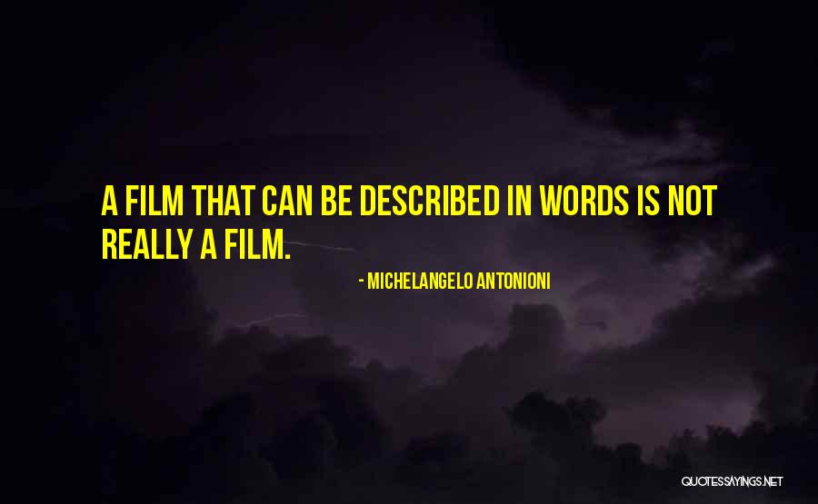 Michelangelo Antonioni Quotes 151637