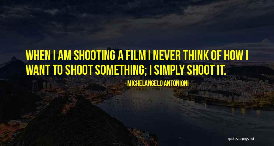 Michelangelo Antonioni Quotes 256091