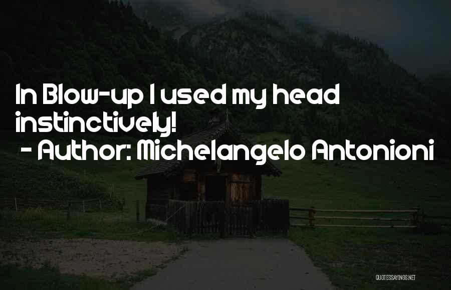 Michelangelo Antonioni Quotes 383662