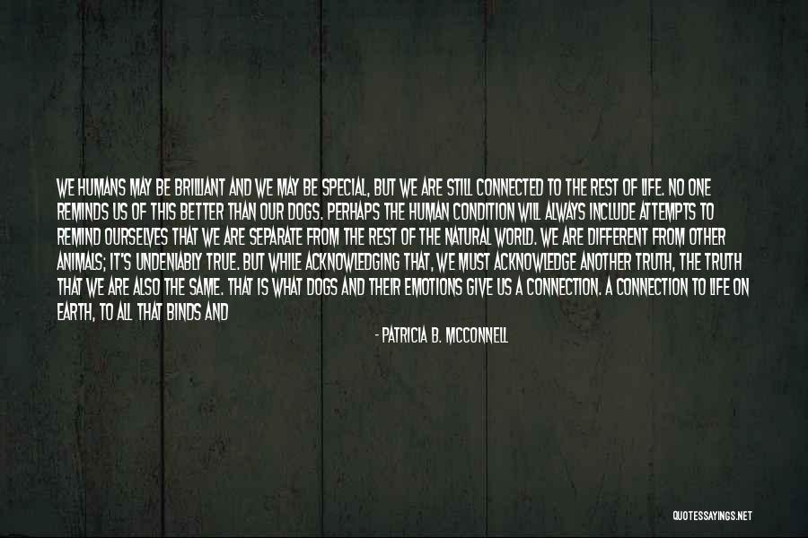 Michelangelo Painting Quotes By Patricia B. McConnell Michelangelo Painting Quotes By Patricia B. McConnell