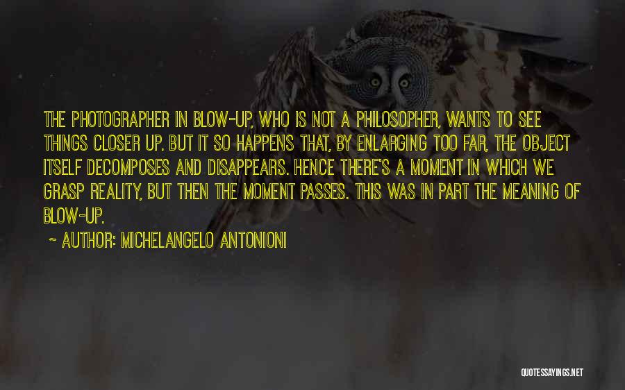 Michelangelo's Quotes By Michelangelo Antonioni