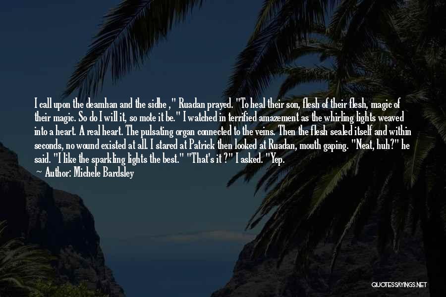 Michele Bardsley Quotes 661801