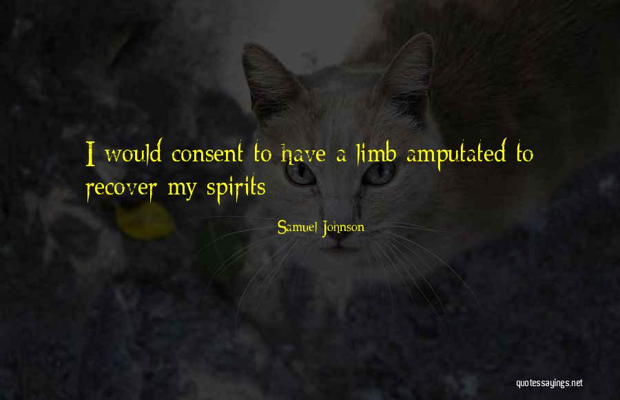 Michelfeld In Bayern Quotes By Samuel Johnson
