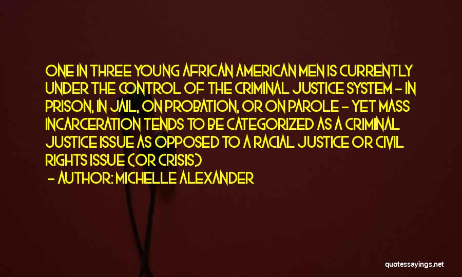 Michelle Alexander Quotes 1348032