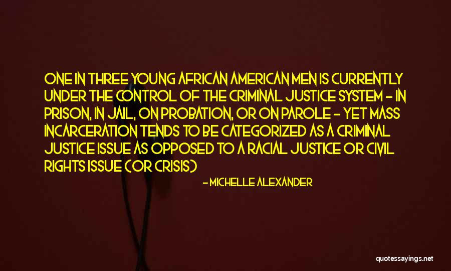 Michelle Alexander Quotes 1348032