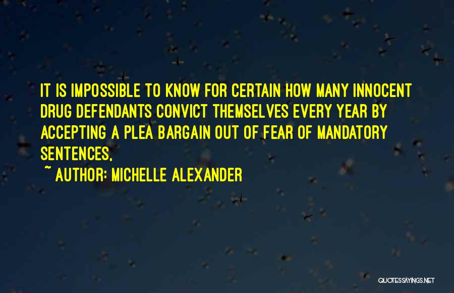 Michelle Alexander Quotes 664264