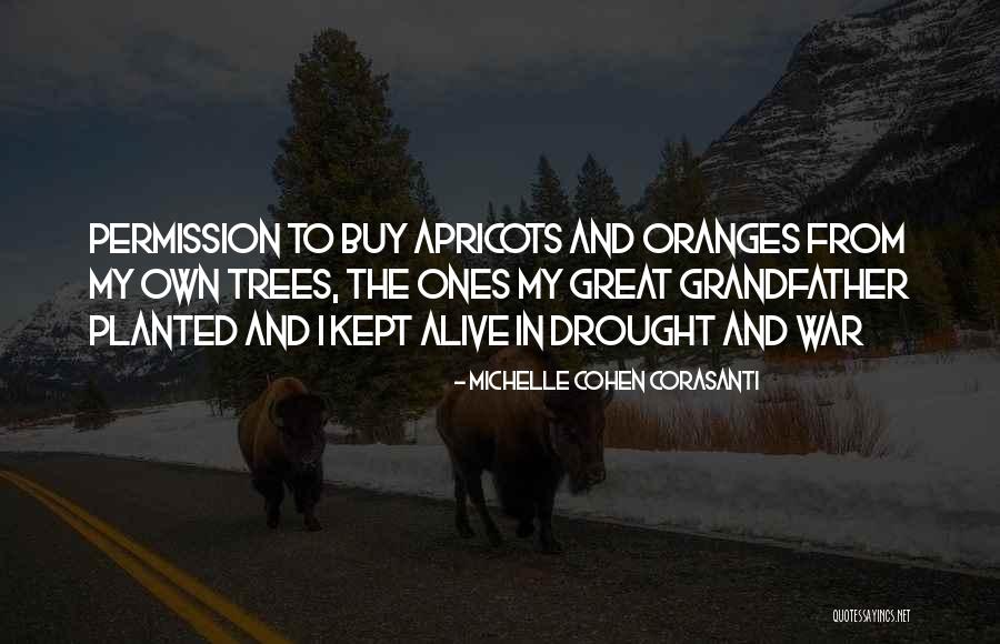 Michelle Cohen Corasanti Quotes 831857 Michelle Cohen Corasanti Quotes 831857