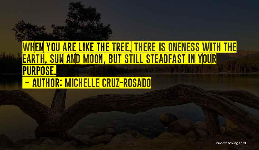 Michelle Cruz-Rosado Quotes 1742269