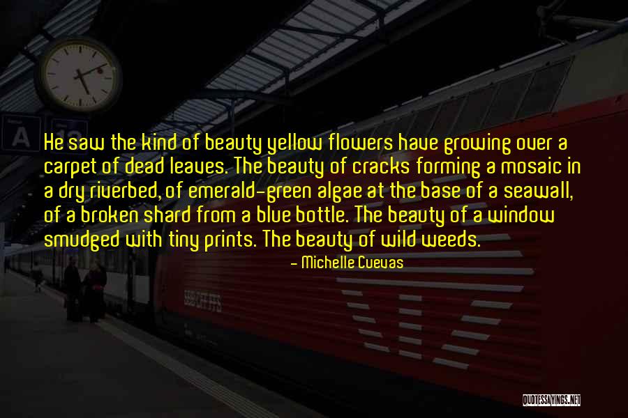 Michelle Cuevas Quotes 1255274 Michelle Cuevas Quotes 1255274