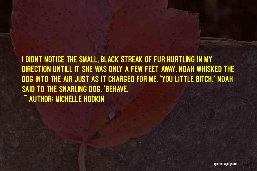 Michelle Hodkin Quotes 661538