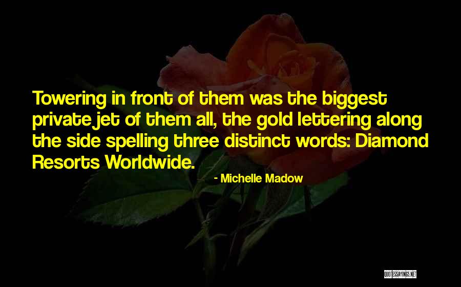 Michelle Madow Quotes 1476253