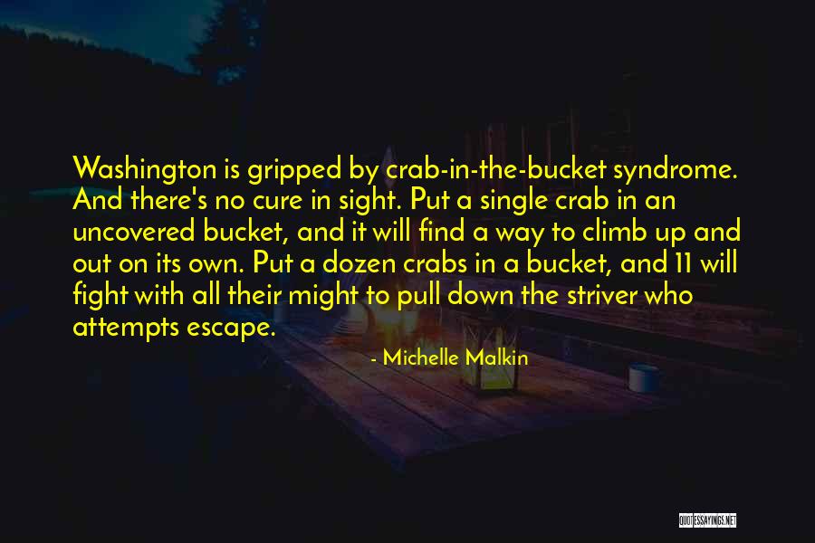 Michelle Malkin Quotes 611755 Michelle Malkin Quotes 611755