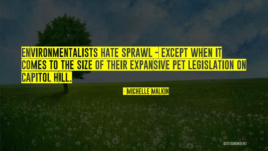 Michelle Malkin Quotes 807951