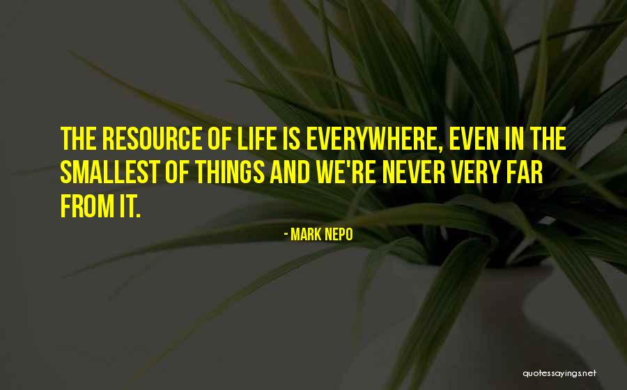 Michelle Willis Quotes By Mark Nepo Michelle Willis Quotes By Mark Nepo