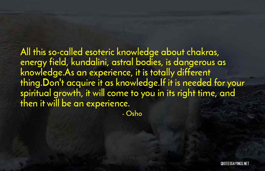 Michellis Quotes By Osho Michellis Quotes By Osho