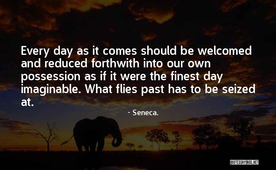 Michiba Light Quotes By Seneca. Michiba Light Quotes By Seneca.